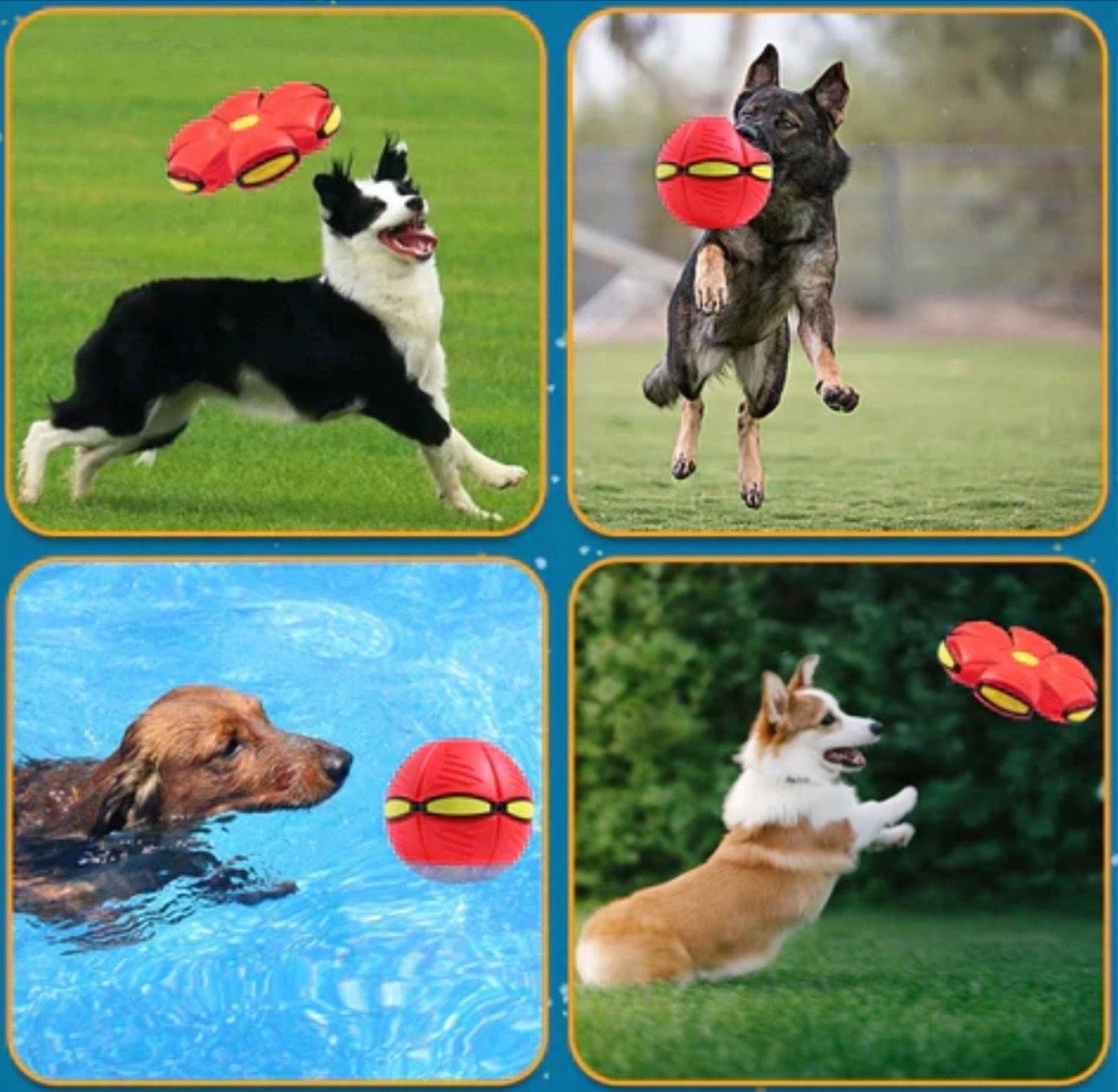 Hundespielzeug "Fliegender Ball"