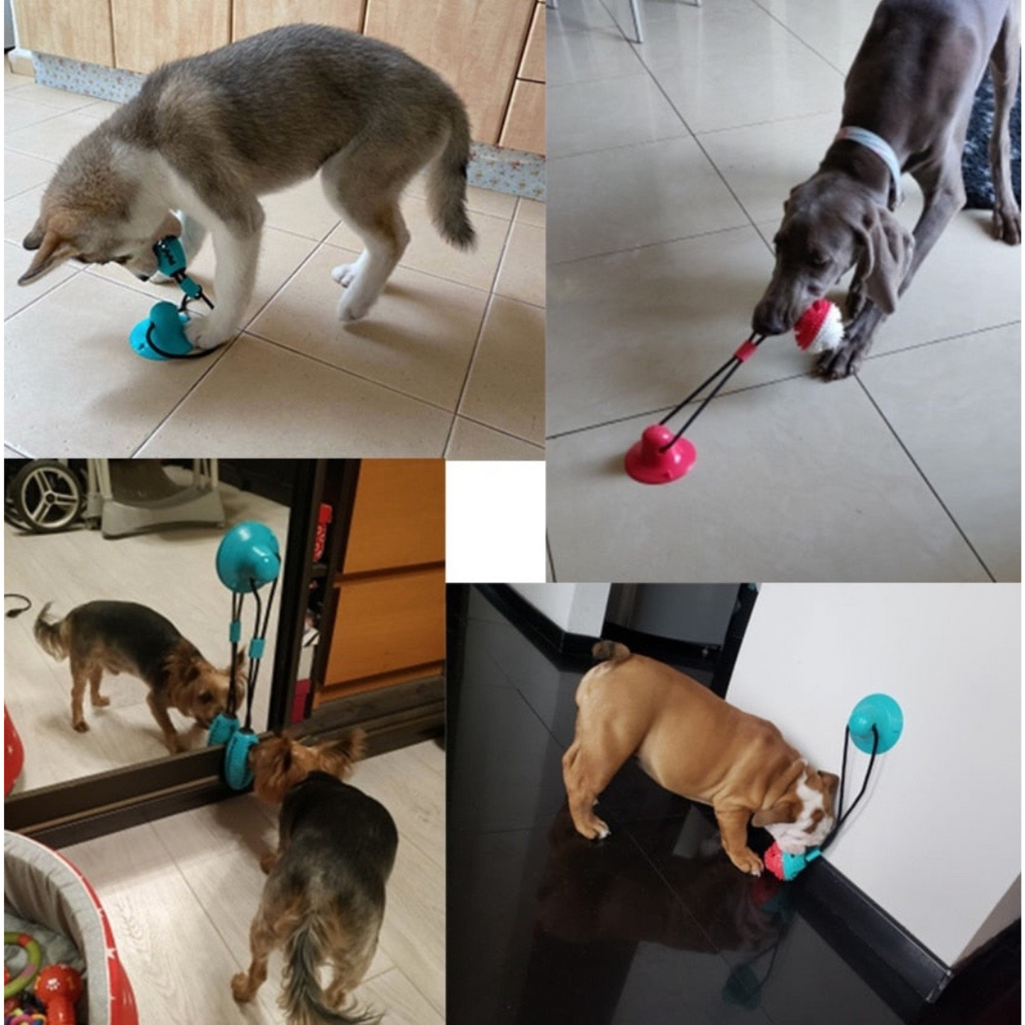 "TugToy" - Saug-Ballspielzeug. Für Zahnreinigung und Fütterrung (50% Rabatt).